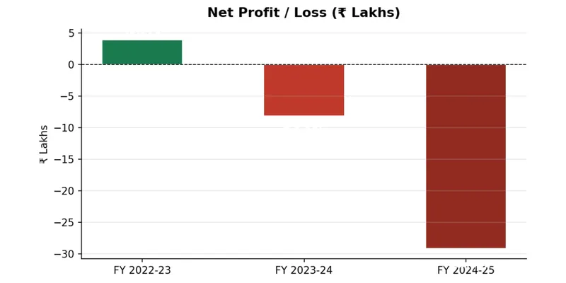 Net Profit / Loss